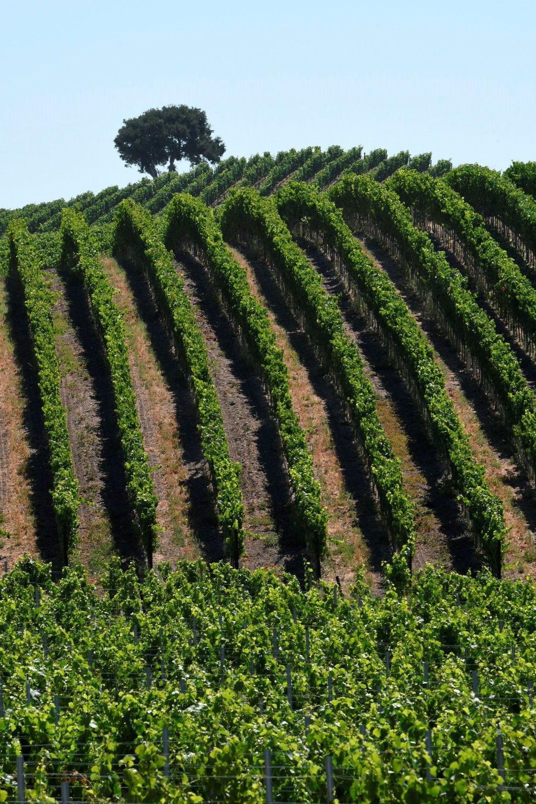 Photos: The beauty of living on the Central Coast